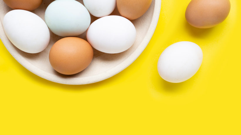 Confira o resultado: PROTESTE analisou bactérias e toxinas nos ovos