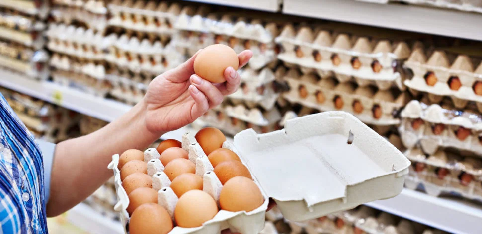Ovos: como conservar e consumir