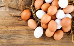 Confira 8 benefícios do ovo para a sua saúde