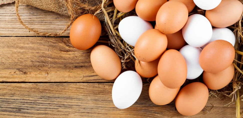Confira 8 benefícios do ovo para a sua saúde