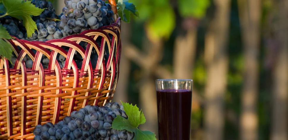 Sucos de uva integrais: quais são as melhores opções?