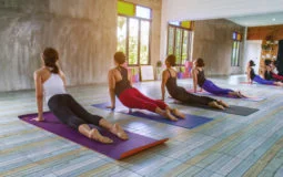 A yoga pode contribuir para sua saúde física e mental