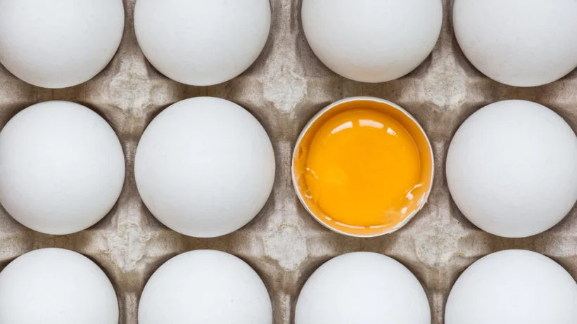 Ovos: como evitar a contaminação por Salmonella?