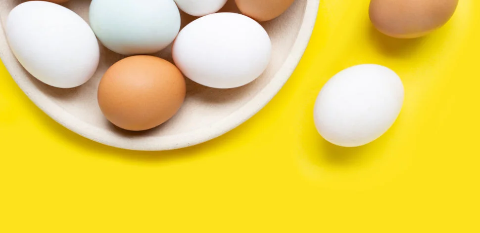 Confira o resultado: PROTESTE analisou bactérias e toxinas nos ovos