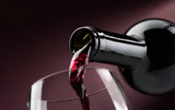 Mitos e verdades sobre o consumo de vinho