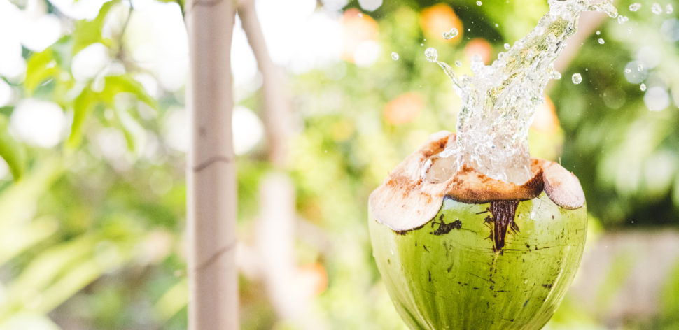 Água de coco: conheça os principais benefícios