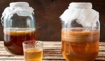Kombucha: o que é, como fazer e quais são os benefícios da bebida fermentada