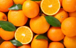 Laranja: conheça os benefícios da fruta para sua saúde