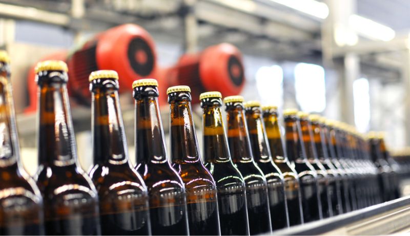 Cerveja: como a bebida é produzida?