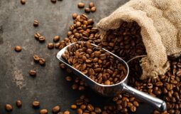 Qualidade do café – entenda porque é importante