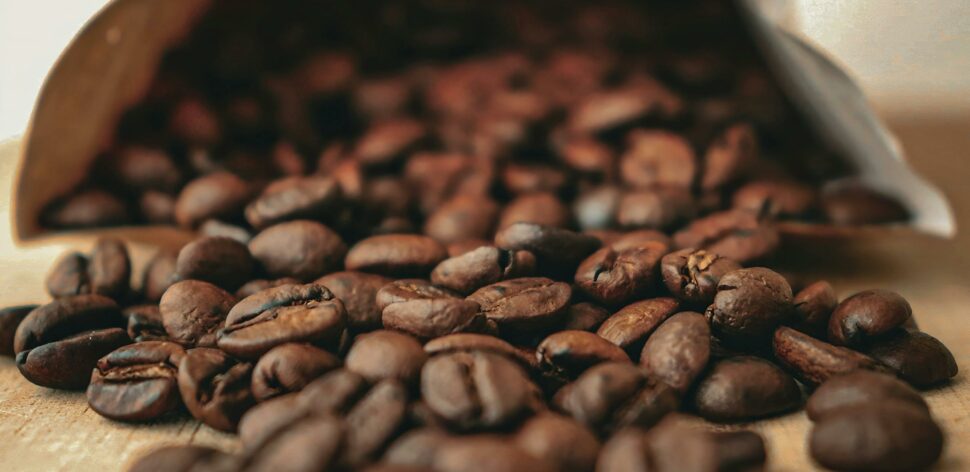 Borra de café faz bem para a saúde? Pesquisa aponta benefício