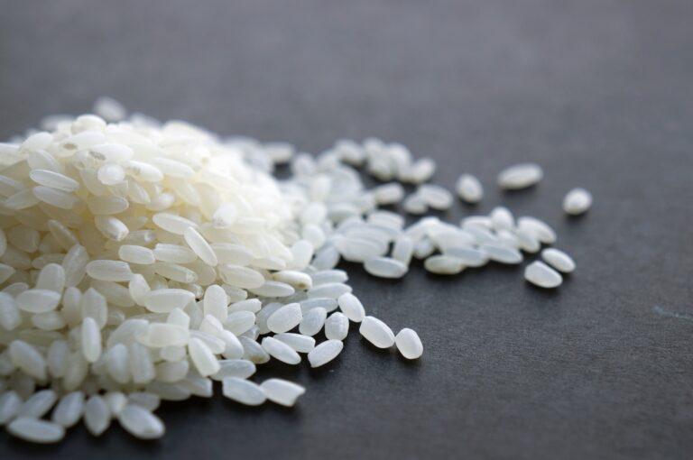 arroz-branco-pode-fazer-mal-a-saúde-estudo-harvard