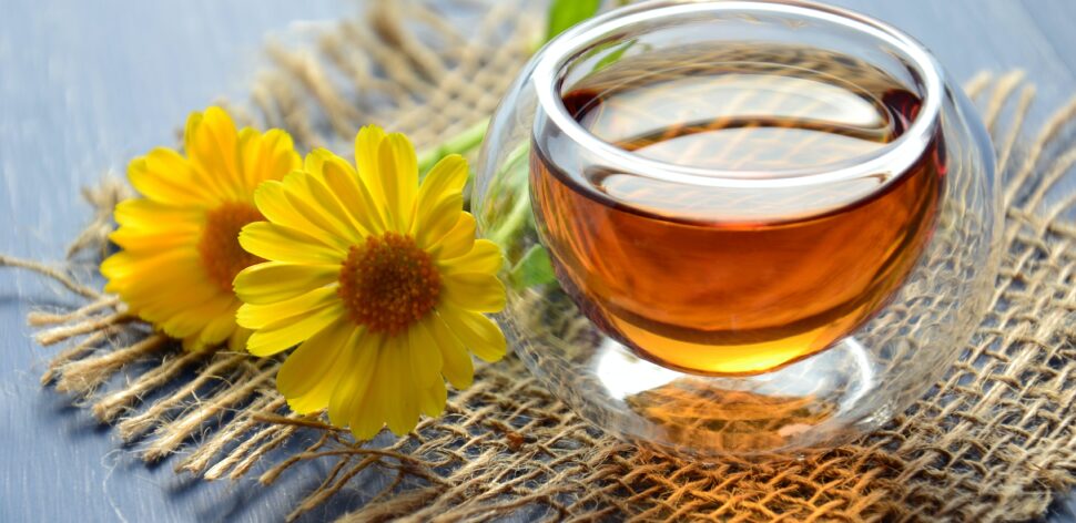 Chá de boldo: conheça seus benefícios digestivos e calmantes