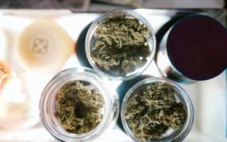 Uso de cannabis entre idosos nos EUA aumenta