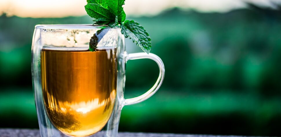 Aprenda a preparar chá de Ora-pro-nóbis com gengibre e veja seus benefícios