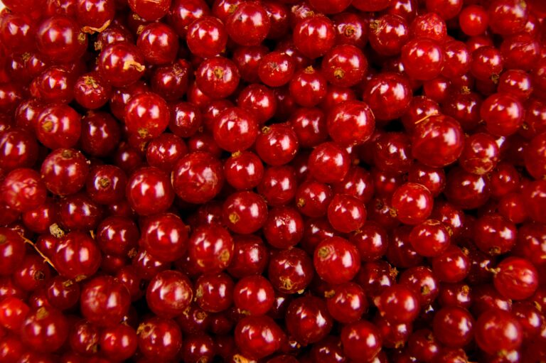 cranberry-ajuda-a-eliminar-o-côco