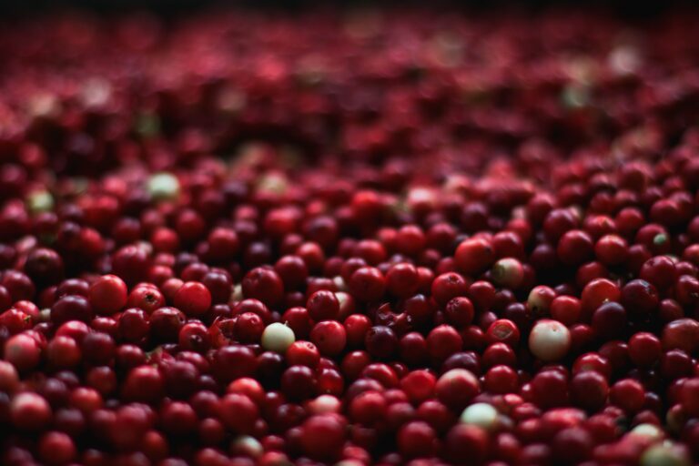 cranberry-glicemia
