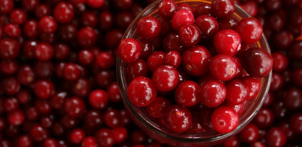 Suco de cranberry realmente ajuda a prevenir a infecção urinária?