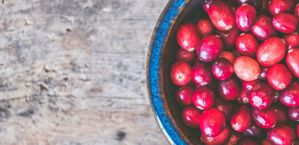 Cranberry: para que serve e quais os benefícios?