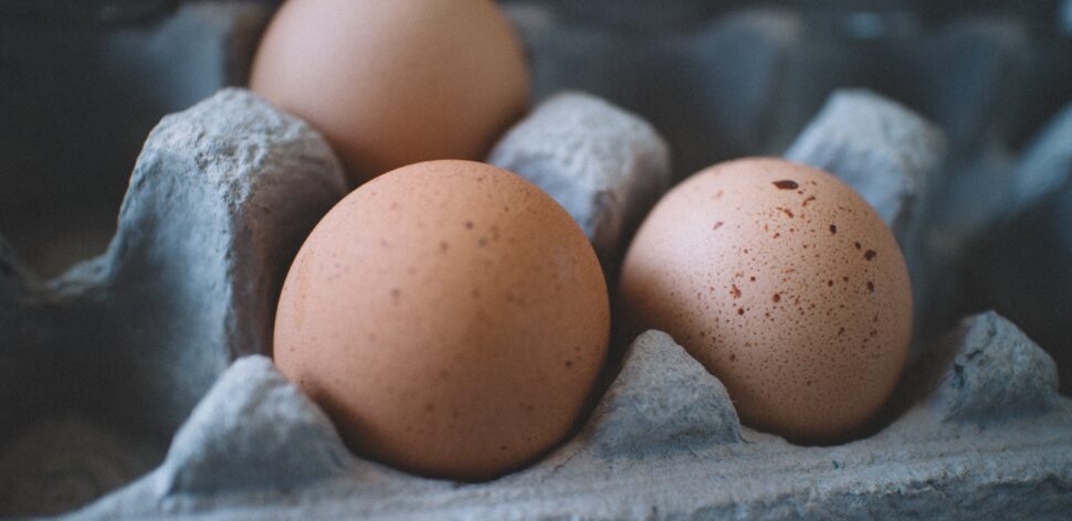 O que é a Chalaza, o fio branco presente nos ovos?