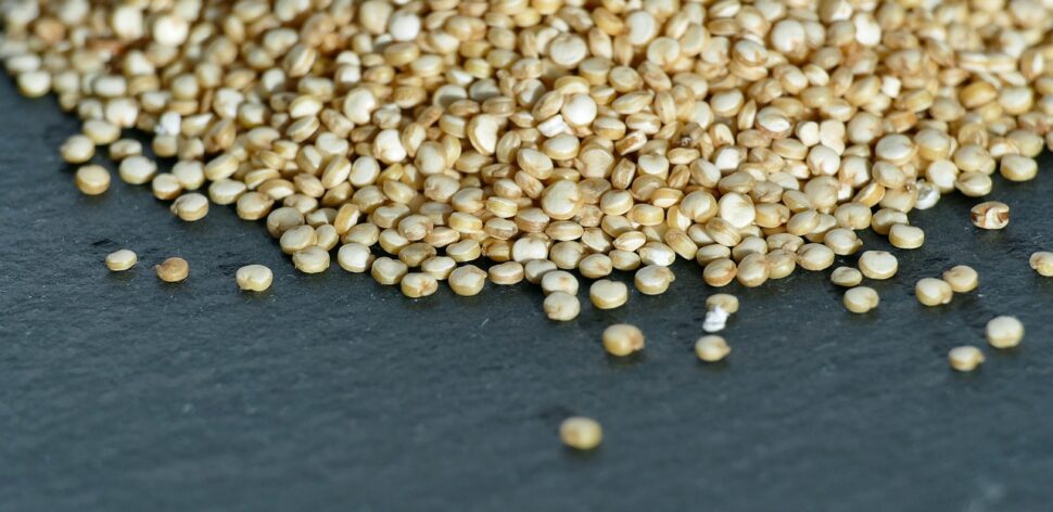 Quinoa: veja 7 principais benefícios da semente para a sua saúde