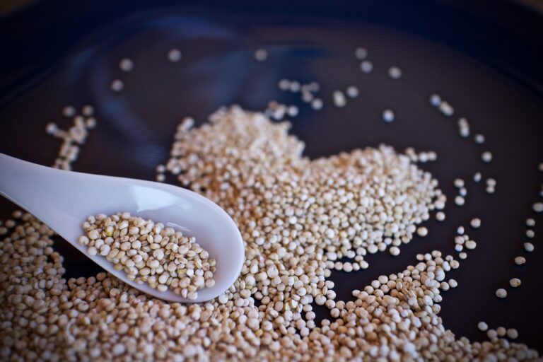 quinoa-como-preparar