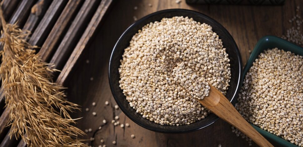 Quinoa ajuda na digestão? Veja os principais benefícios da semente