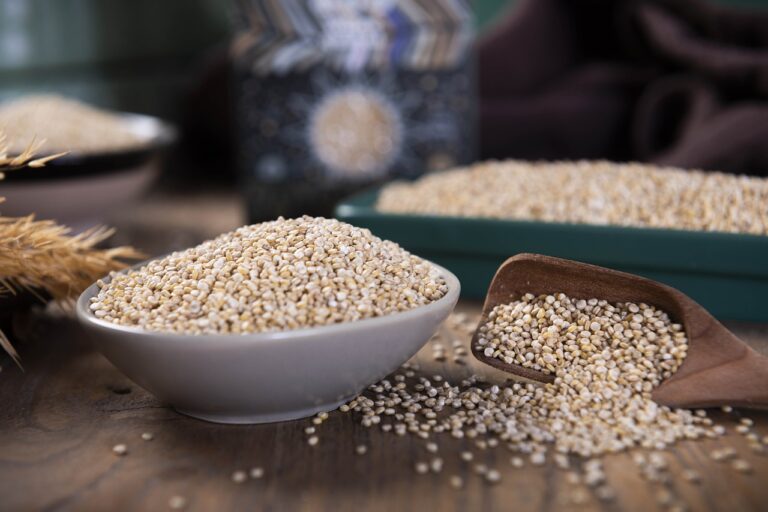 quinoa-superalimento