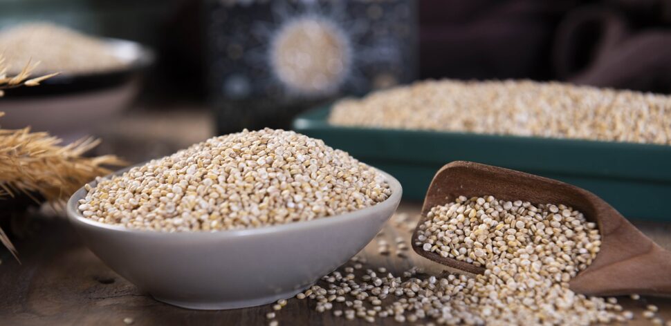 Por que a quinoa é considerada um superalimento?