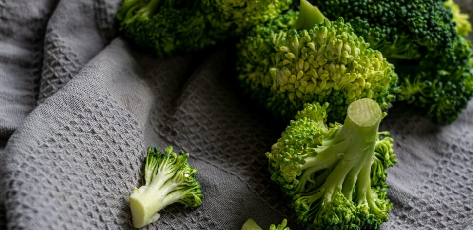 Brocólis: veja 6 benefícios do vegetal para a sua saúde
