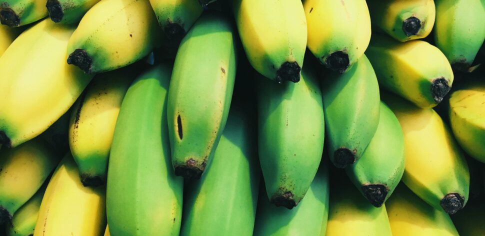 Banana verde é melhor para a saúde? Veja estudo