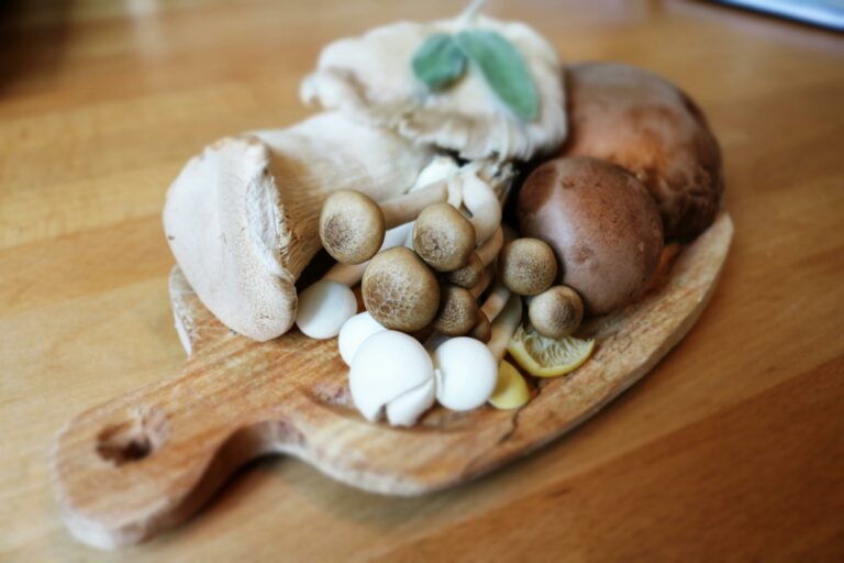 benefícios-cogumelos-shitake-shimeji