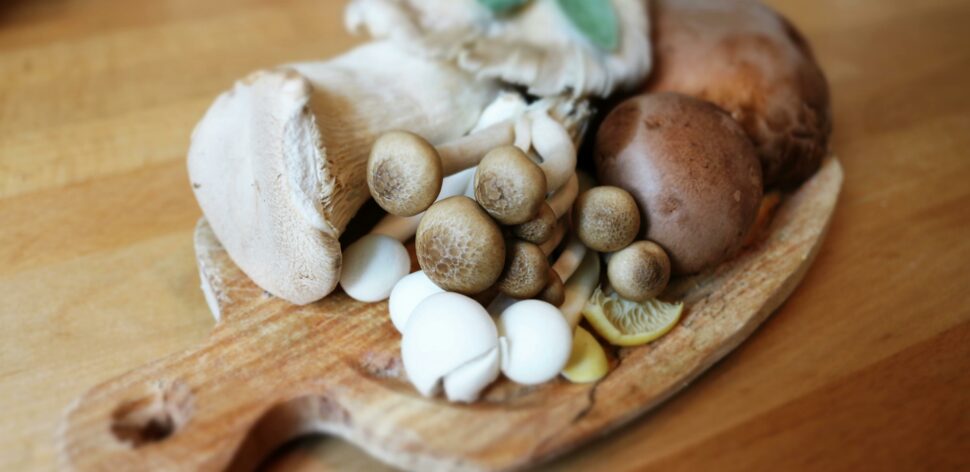 Shimeji, shitake e champignon: quais os benefícios desses cogumelos para a saúde?