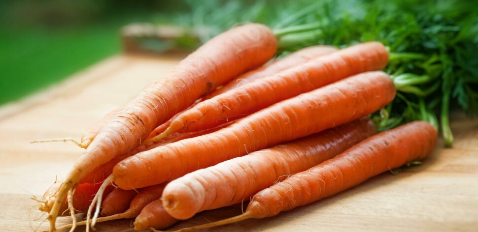 Por que a cenoura é laranja e quais são os benefícios do vegetal?
