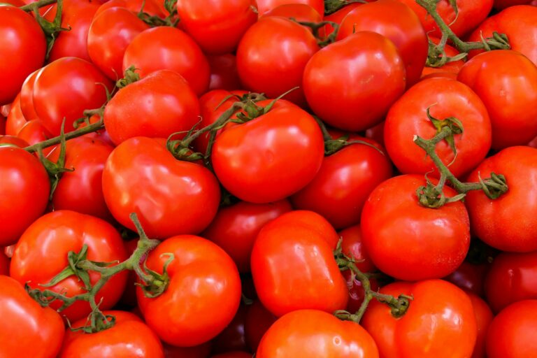 benefícios-do-tomate
