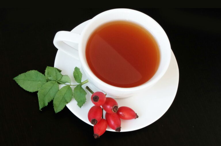 chá-de-hortelã-benefícios