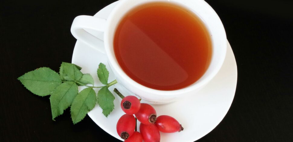 Para que serve o chá de hortelã? Veja benefícios e como preparar
