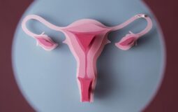 Ciclo Menstrual: como funciona e o que é fluxo menstrual