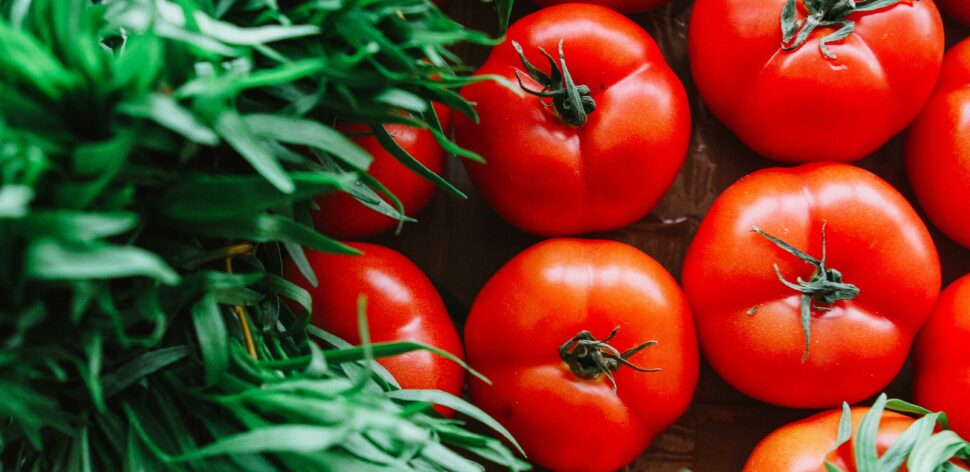 Vale a pena comer tomate todos os dias? Veja benefícios
