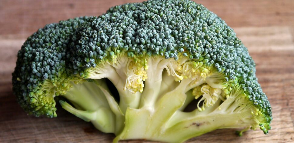 Congelar o brócolis diminui os seus nutrientes?