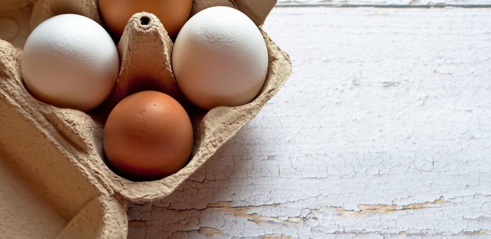 Quais os benefícios de consumir ovos todos os dias?