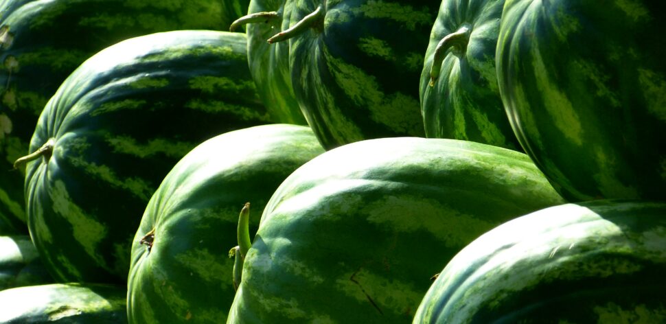 3 benefícios da melancia para a saúde do homem