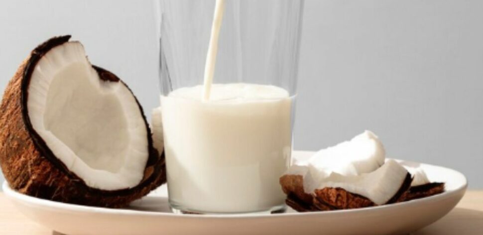 Leite de coco: veja 5 benefícios da bebida para o corpo