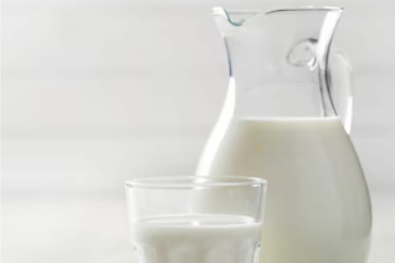 O consumo diário de leite fornece nutrientes essenciais