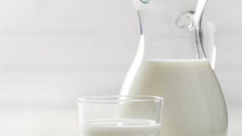 Pode tomar leite todo dia? Descubra os benefícios da bebida