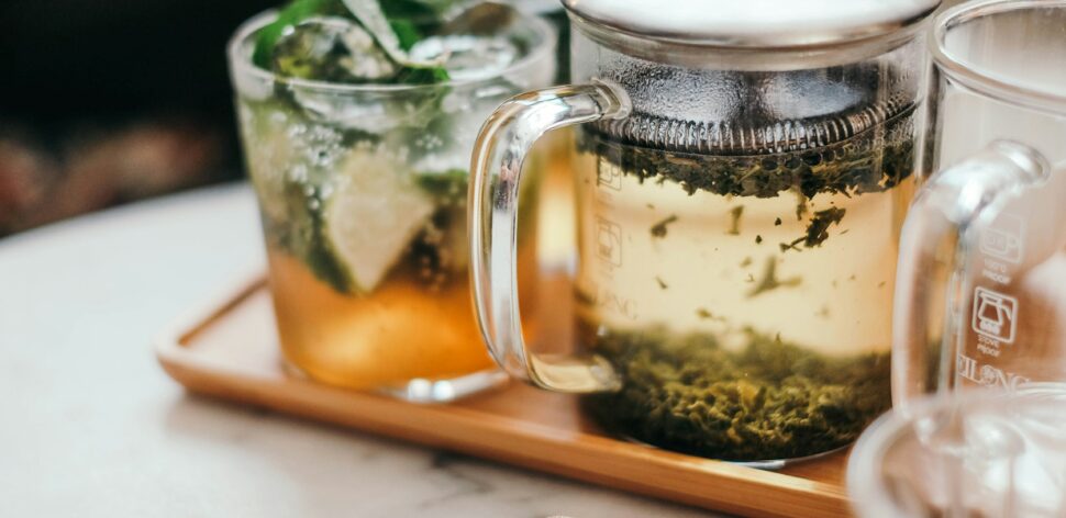 Chá de boldo faz bem? Conheça benefícios da planta medicinal