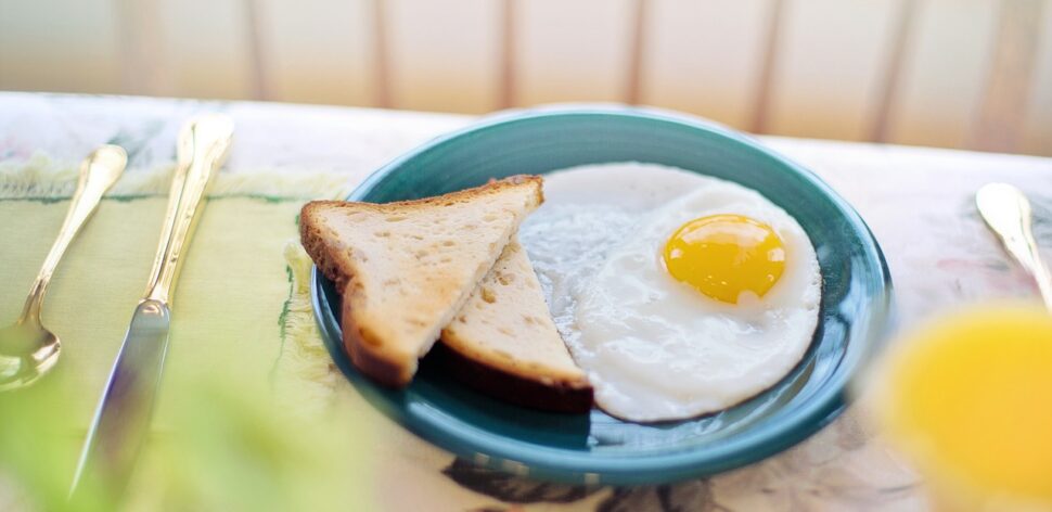 Quantos ovos devo comer por dia? Veja o que dizem especialistas