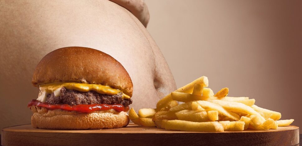 Airfryer: qual é o risco de alimentos gordurosos?