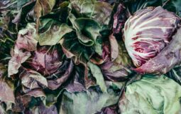 Radicchio: conheça verdura italiana e seus benefícios