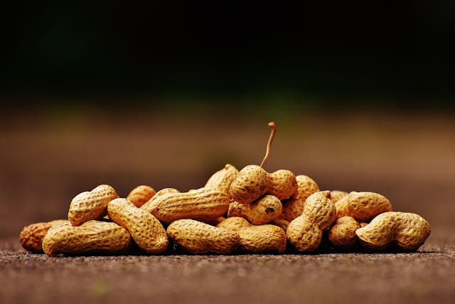 Amendoim: conheça 6 benefícios desse superalimento para a saúde